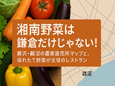 【保存版】湘南野菜は藤沢・鵠沼が穴場!農家直売所と絶品グルメ完全ガイド