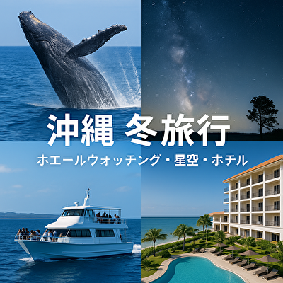 【予算5万円で感動旅】冬の沖縄でクジラに会える！星空×お得ホテル×モデルプラン付