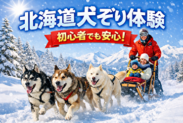 北海道の大自然で感動体験！初心者でも安心な犬ぞり体験 冬のアクティビティ【体験談つき】