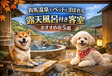 【最新版】有馬温泉でペットと泊まれる露天風呂付き客室のおすすめ宿5選