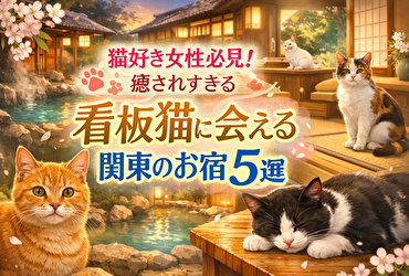 関東で看板猫に会える宿はここ｜猫好き女性向け癒し宿5選
