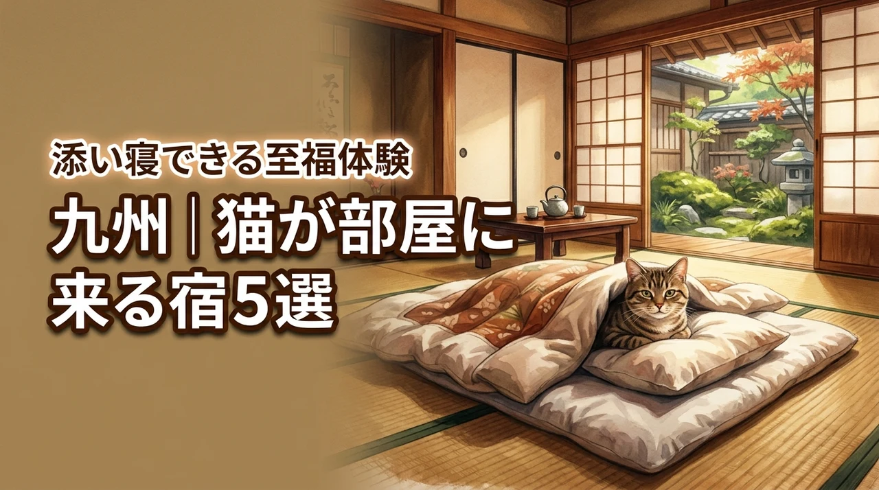 猫のいる温泉宿九州で部屋に来る宿5選！添い寝できる至福体験
